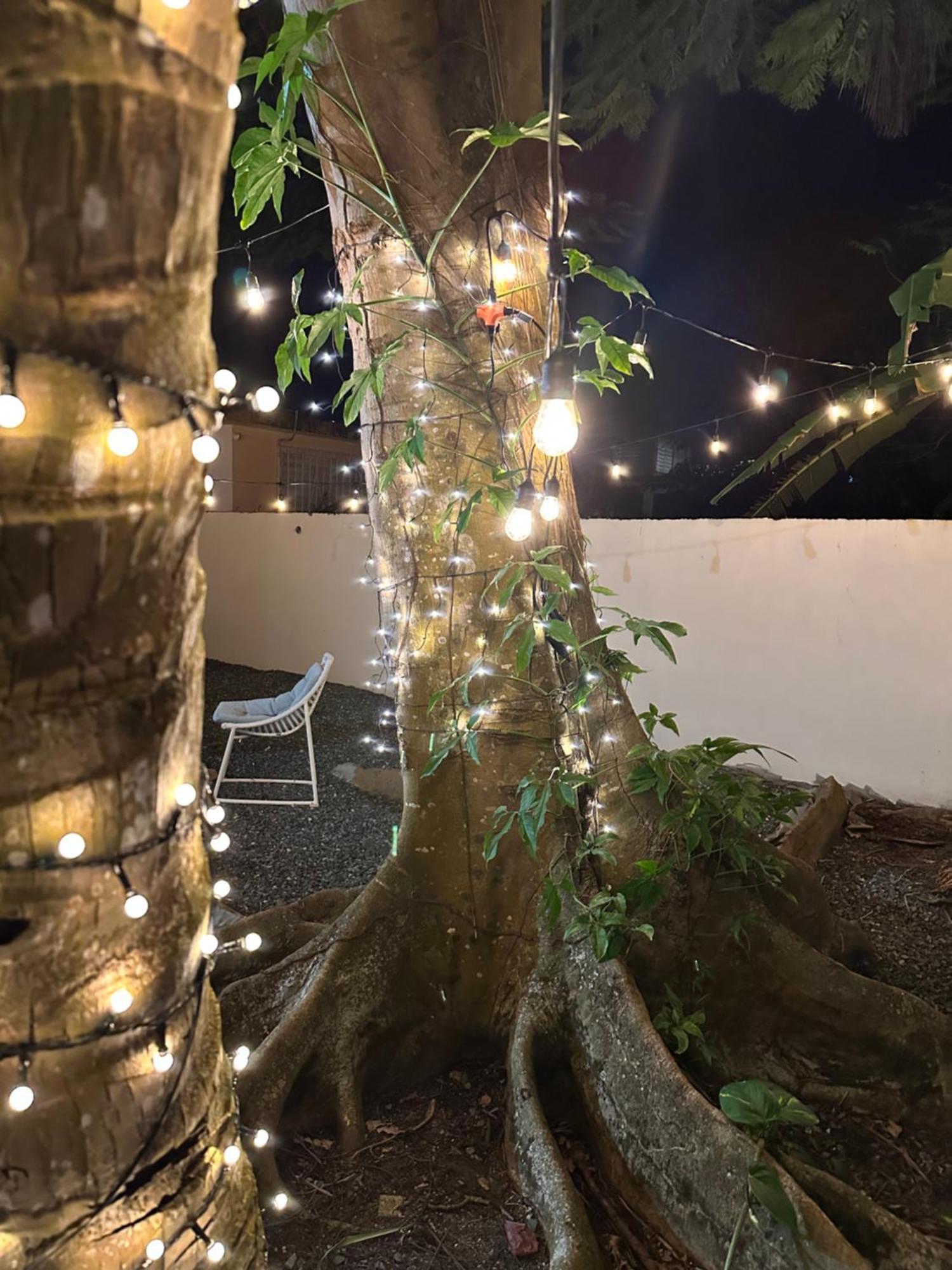 Villa Bamboo San Juan Eksteriør bilde